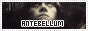 archived 88x31 button #85365