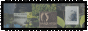 QUOSOTERMINAL.gif