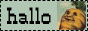 hallo.png