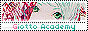 archived 88x31 button #85532