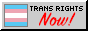 trans-rights-now.png