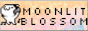 moonlitblossombutton2.gif
