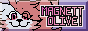 Button.gif