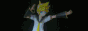 len2.gif
