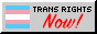 transrights.jpg