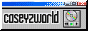 caseyzbutton.png
