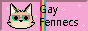 gayfennecs.png
