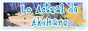 archived 88x31 button #86220
