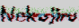banner.gif