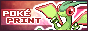 ppbutton.png
