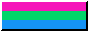 polyam.png