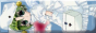 IMG_2916.png