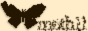 archived 88x31 button #86319