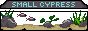 smallcypress.png