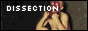 erotomania.png
