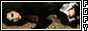fl681.gif