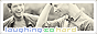 archived 88x31 button #86554