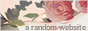 randonbutton.png
