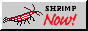 bigstriatam.png
