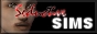 banner0004.JPG