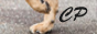 archived 88x31 button #86707