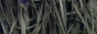 wires.jpg