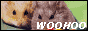 89.gif
