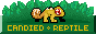 candiedreptile_static.png