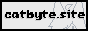 catbyte.png