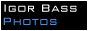 archived 88x31 button #87029