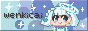 wenkicai.png
