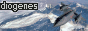 archived 88x31 button #87172
