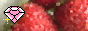 btn00090.gif