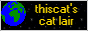 thiscat.gif