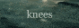 sillvis.gif