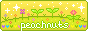 peachnuts.gif