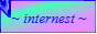 internest_button.gif