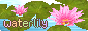 DvLmgyG.png