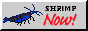 bigrustyoebtsf.png
