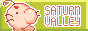 mrsaturnvalley.gif
