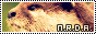 archived 88x31 button #88037