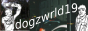 dogzwrld19.jpg