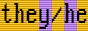 pronoun-vga-they-he-inter.png