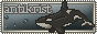 RBAYwBA.png