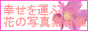 archived 88x31 button #88194
