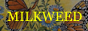 milkweed.png
