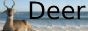 deerbadge.png