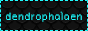 dendrophalaen.png