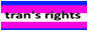 trans.jpg