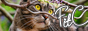 archived 88x31 button #88548